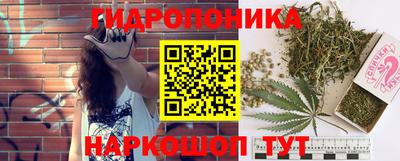 дмт Бузулук