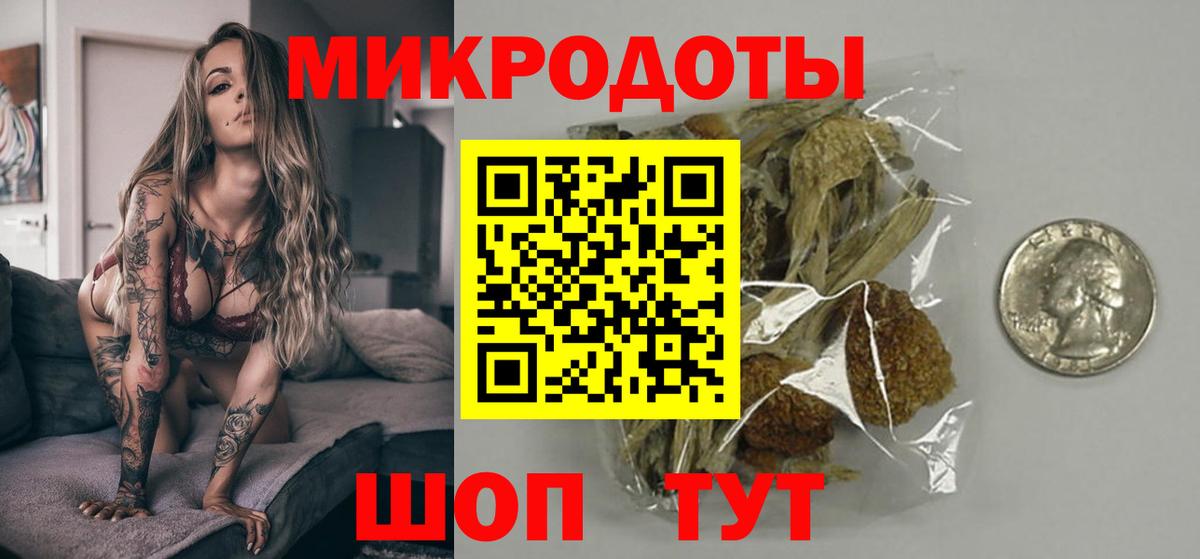 Псилоцибиновые грибы мицелий Таганрог